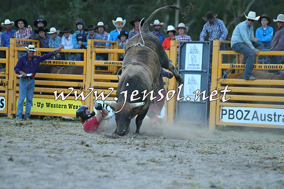 PictonRodeo2015_2567
