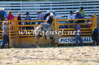 PictonRodeo2015_1987