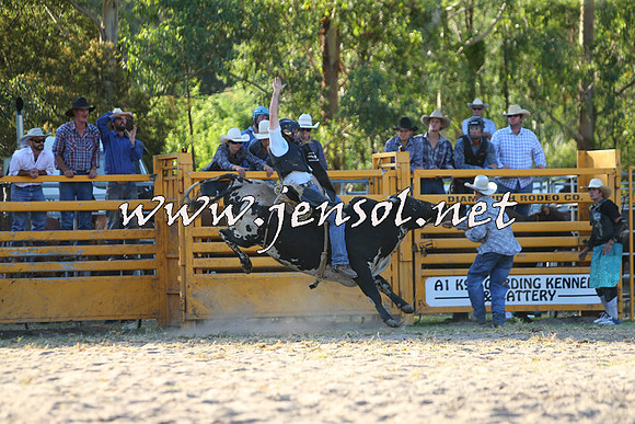 PictonRodeo2015_2037