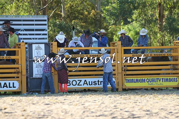 PictonRodeo2015_2029