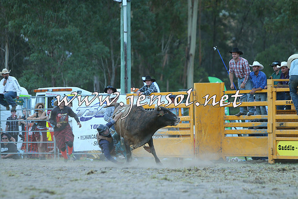 PictonRodeo2015_2631