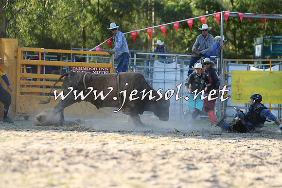 PictonRodeo2015_2104