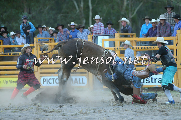 PictonRodeo2015_2521