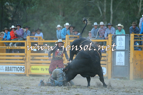 PictonRodeo2015_2797