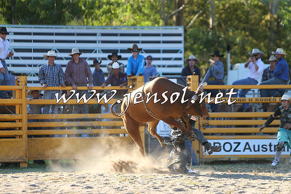 PictonRodeo2015_2134