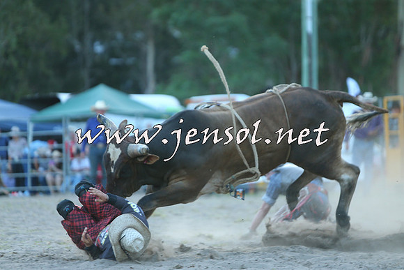 PictonRodeo2015_2528