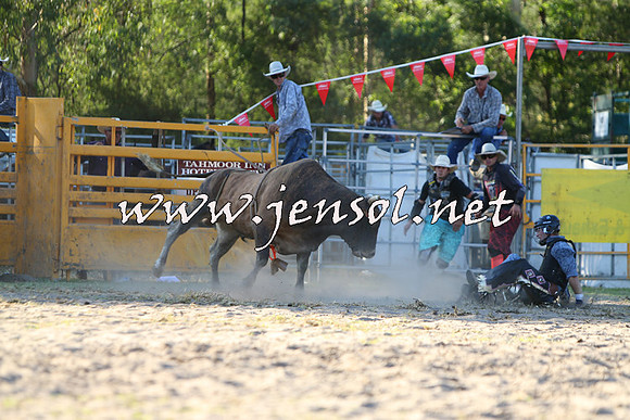 PictonRodeo2015_2107