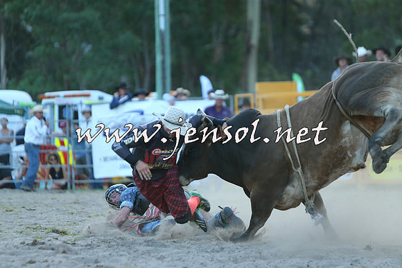PictonRodeo2015_2524