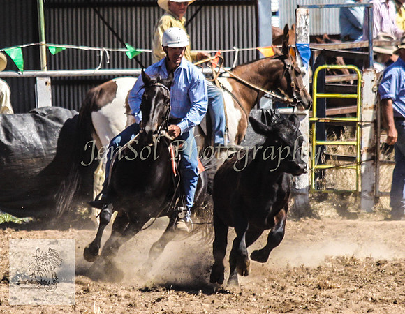 Gunning 446