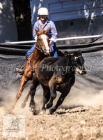 Gunning 081