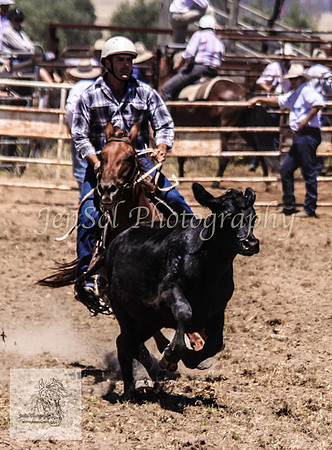 Gunning 179