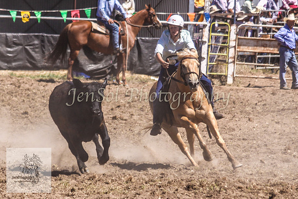 Gunning 367