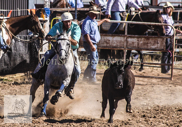 Gunning 539