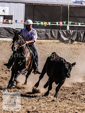 Gunning 570