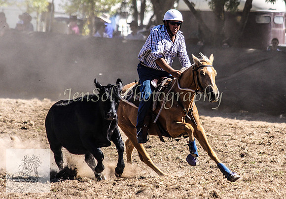 Gunning 461