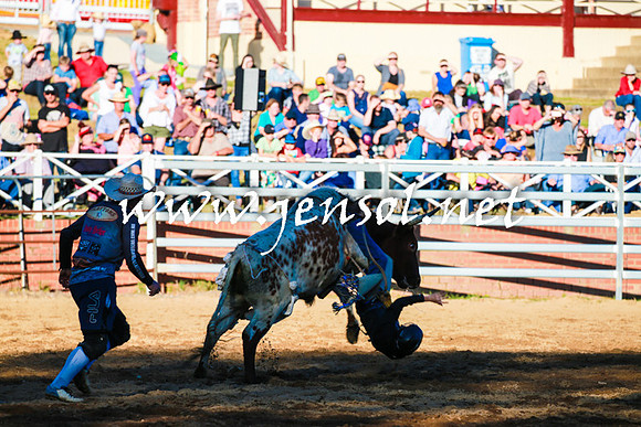 CoomaRodeo2016_1621