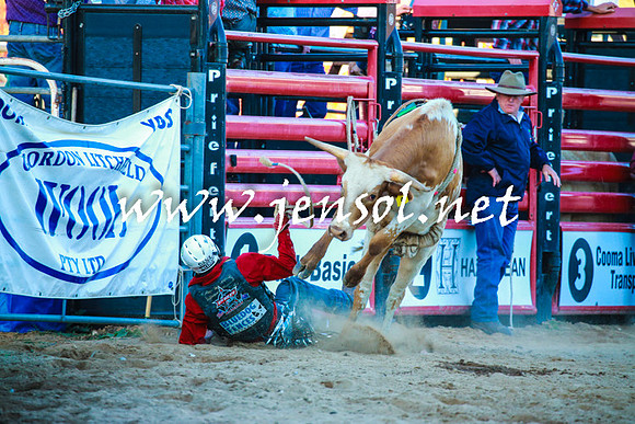 CoomaRodeo2016_2353
