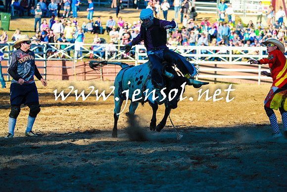 CoomaRodeo2016_1698