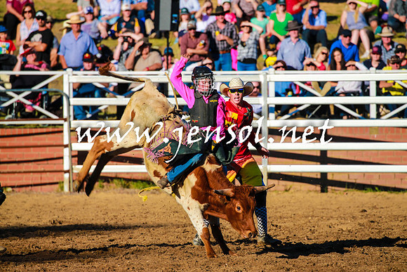 CoomaRodeo2016_1741