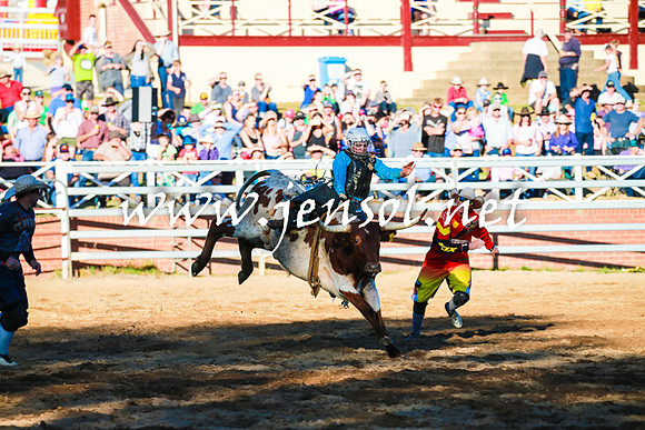 CoomaRodeo2016_1578