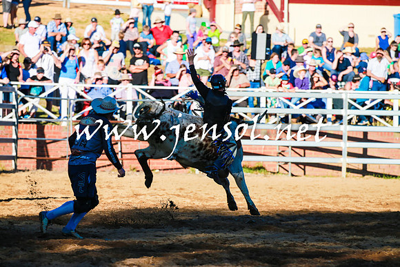 CoomaRodeo2016_1619