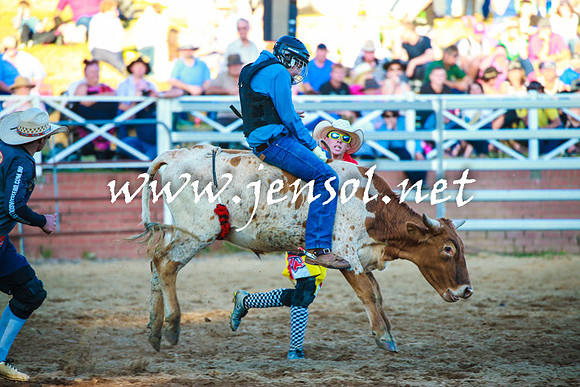 CoomaRodeo2016_2283