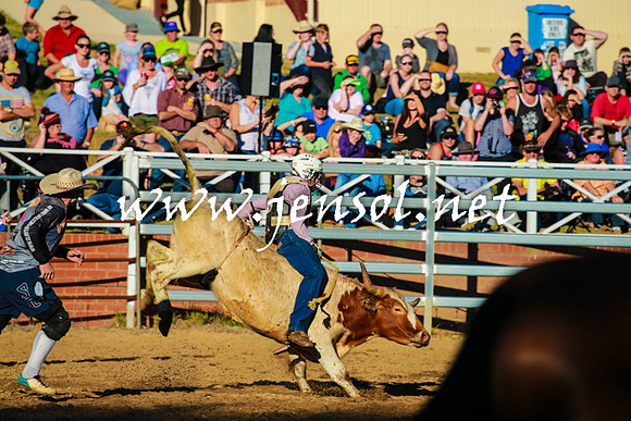 CoomaRodeo2016_1542
