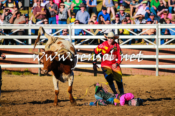 CoomaRodeo2016_1748
