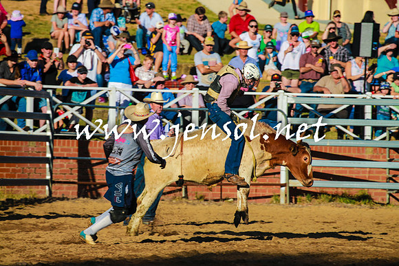CoomaRodeo2016_1551