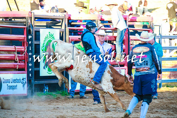 CoomaRodeo2016_2270