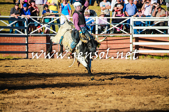 CoomaRodeo2016_1661