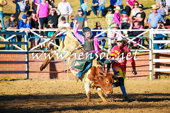CoomaRodeo2016_1721