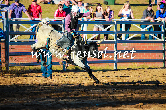 CoomaRodeo2016_1668