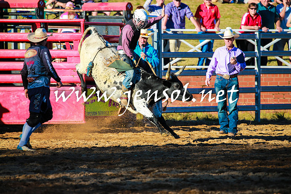 CoomaRodeo2016_1656