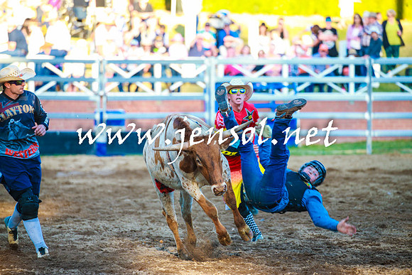 CoomaRodeo2016_2290