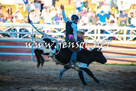CoomaRodeo2016_2224