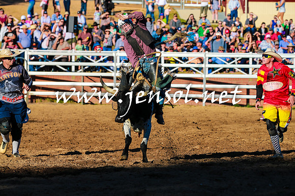 CoomaRodeo2016_1683