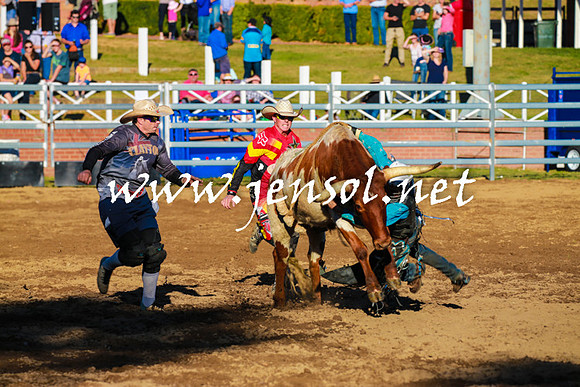 CoomaRodeo2016_1610