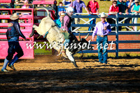 CoomaRodeo2016_1655