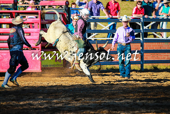 CoomaRodeo2016_1655