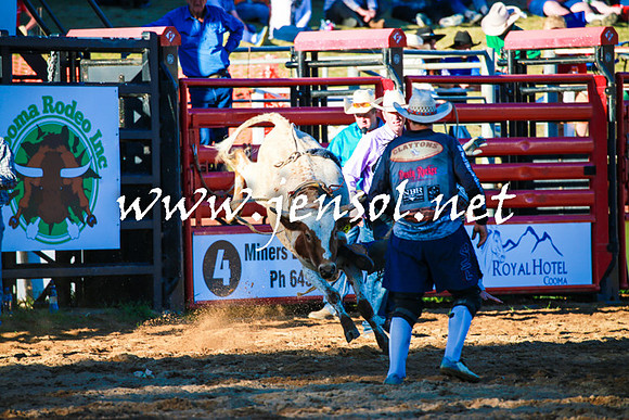 CoomaRodeo2016_1792