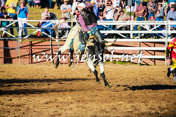 CoomaRodeo2016_1672