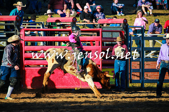 CoomaRodeo2016_1718