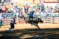 CoomaRodeo2016_1581