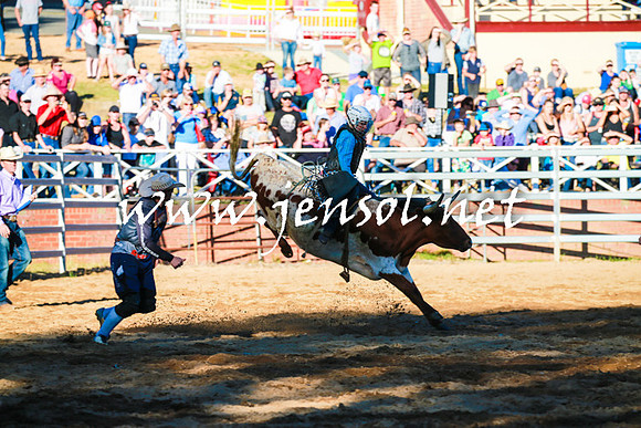 CoomaRodeo2016_1581