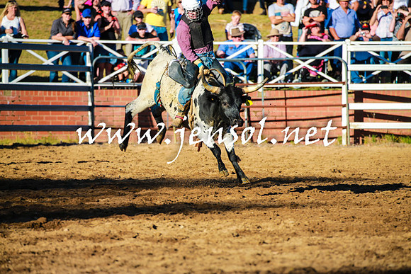 CoomaRodeo2016_1663