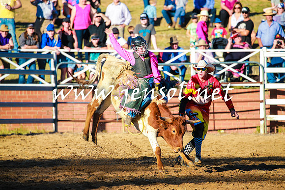 CoomaRodeo2016_1726