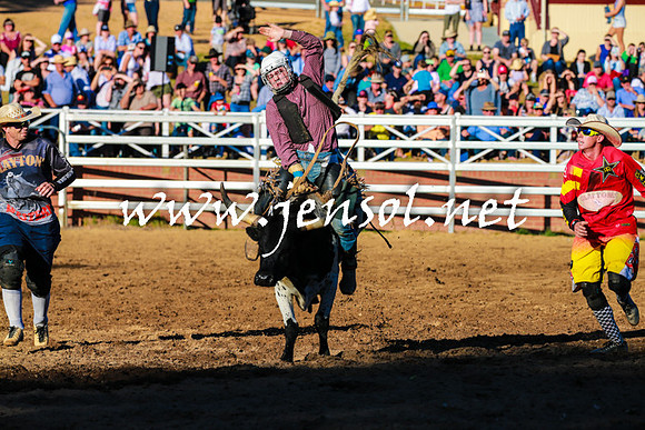 CoomaRodeo2016_1682