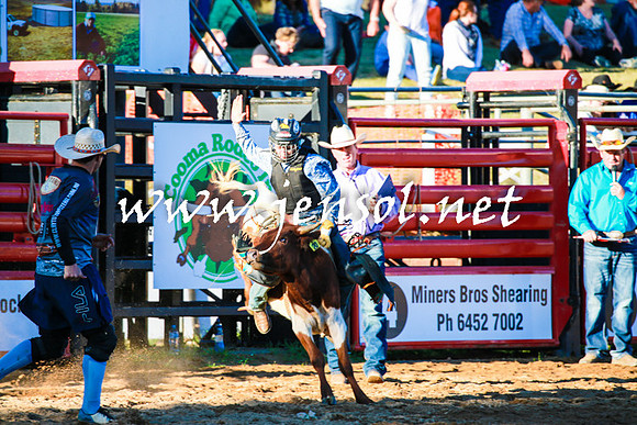 CoomaRodeo2016_1759