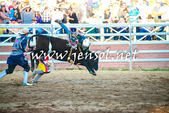 CoomaRodeo2016_2310